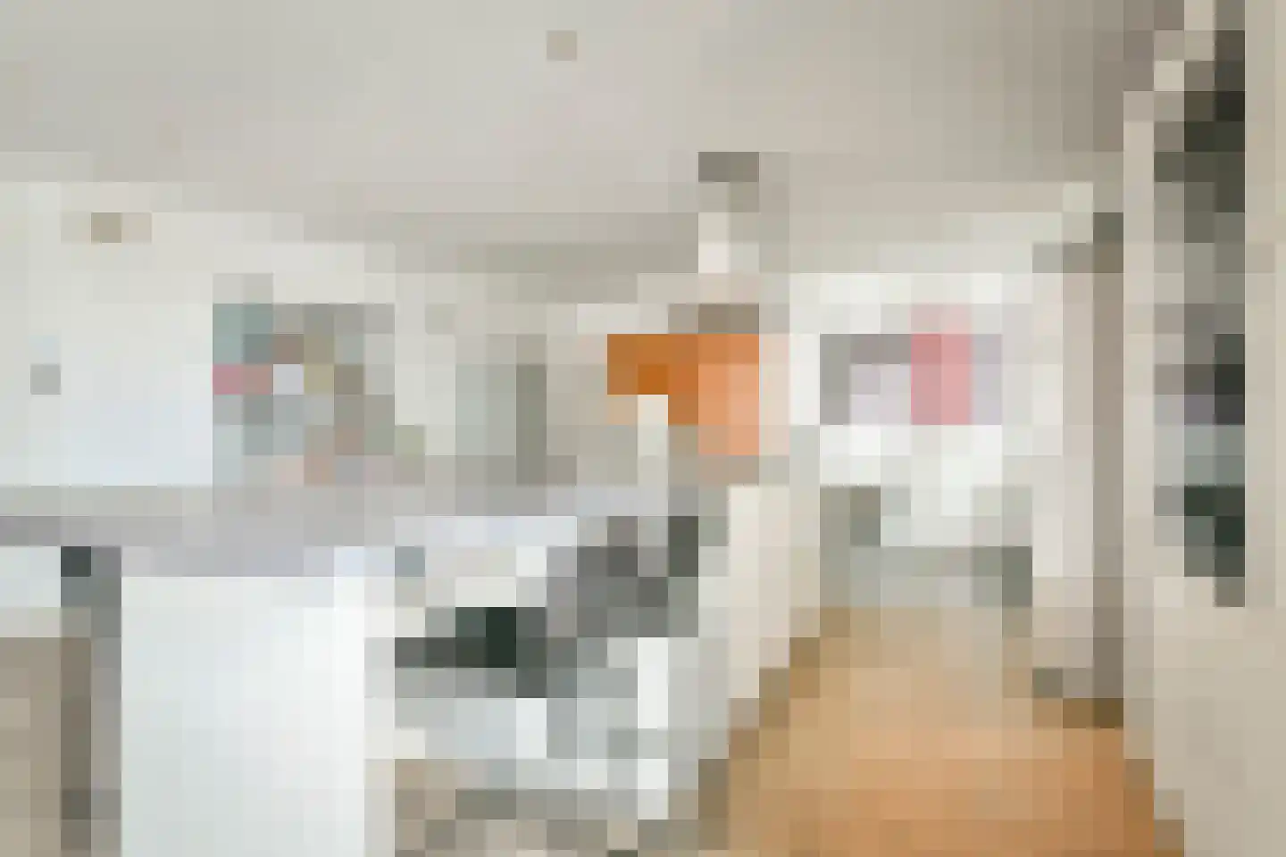 Purperhoedenveem 32 Amsterdam thumbnail 23
