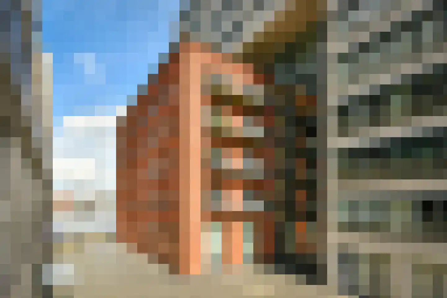 Purperhoedenveem 32 Amsterdam thumbnail 36