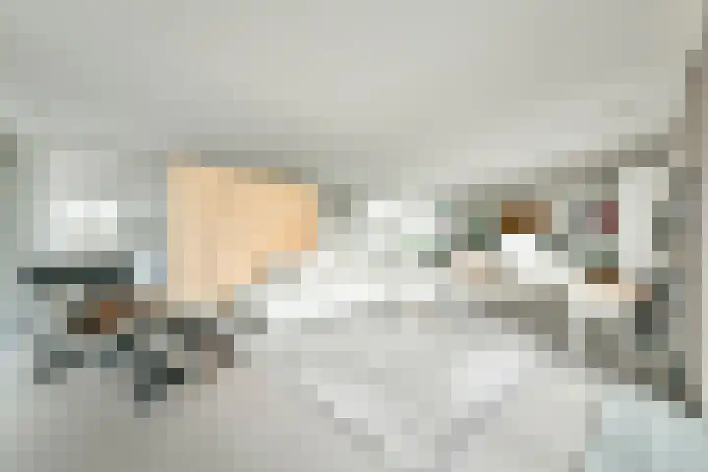 Purperhoedenveem 32 Amsterdam thumbnail 5