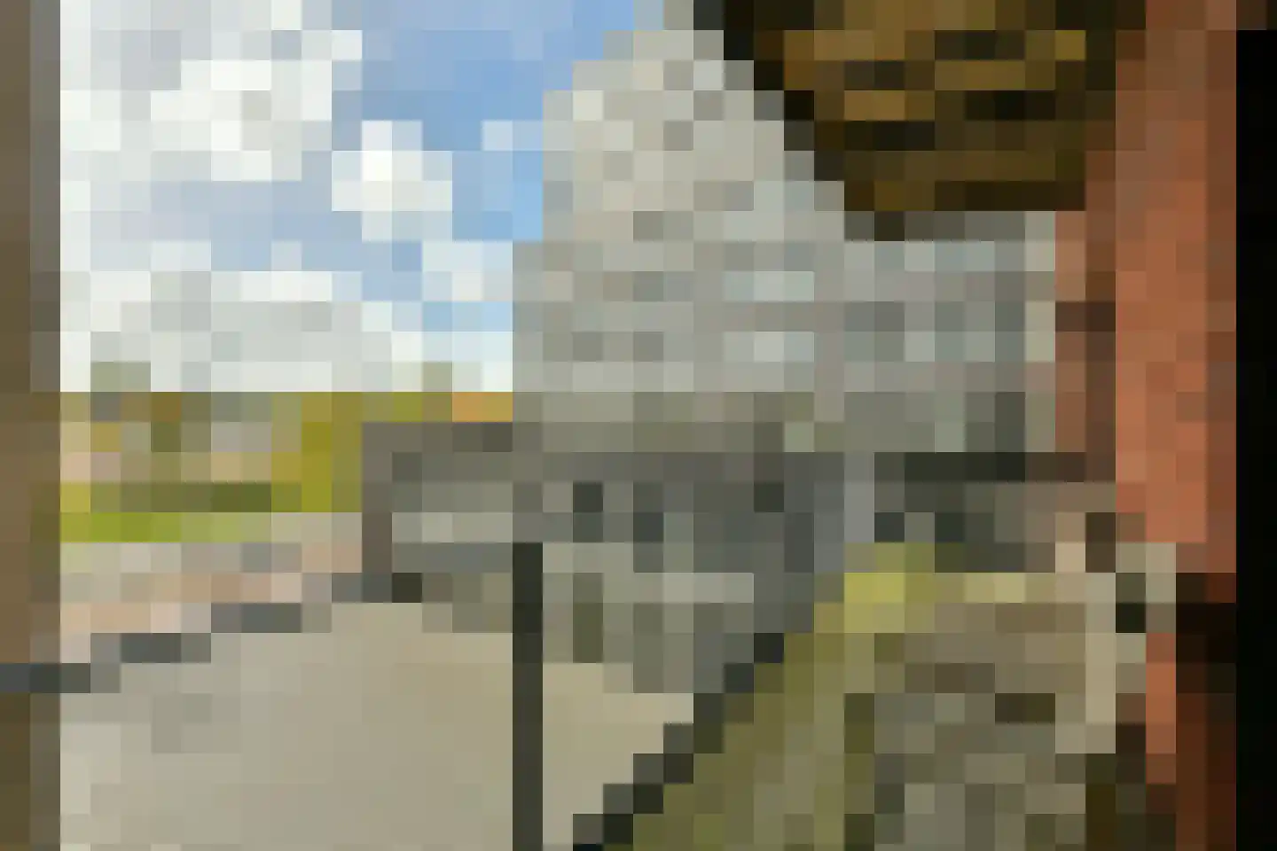 Purperhoedenveem 32 Amsterdam thumbnail 6