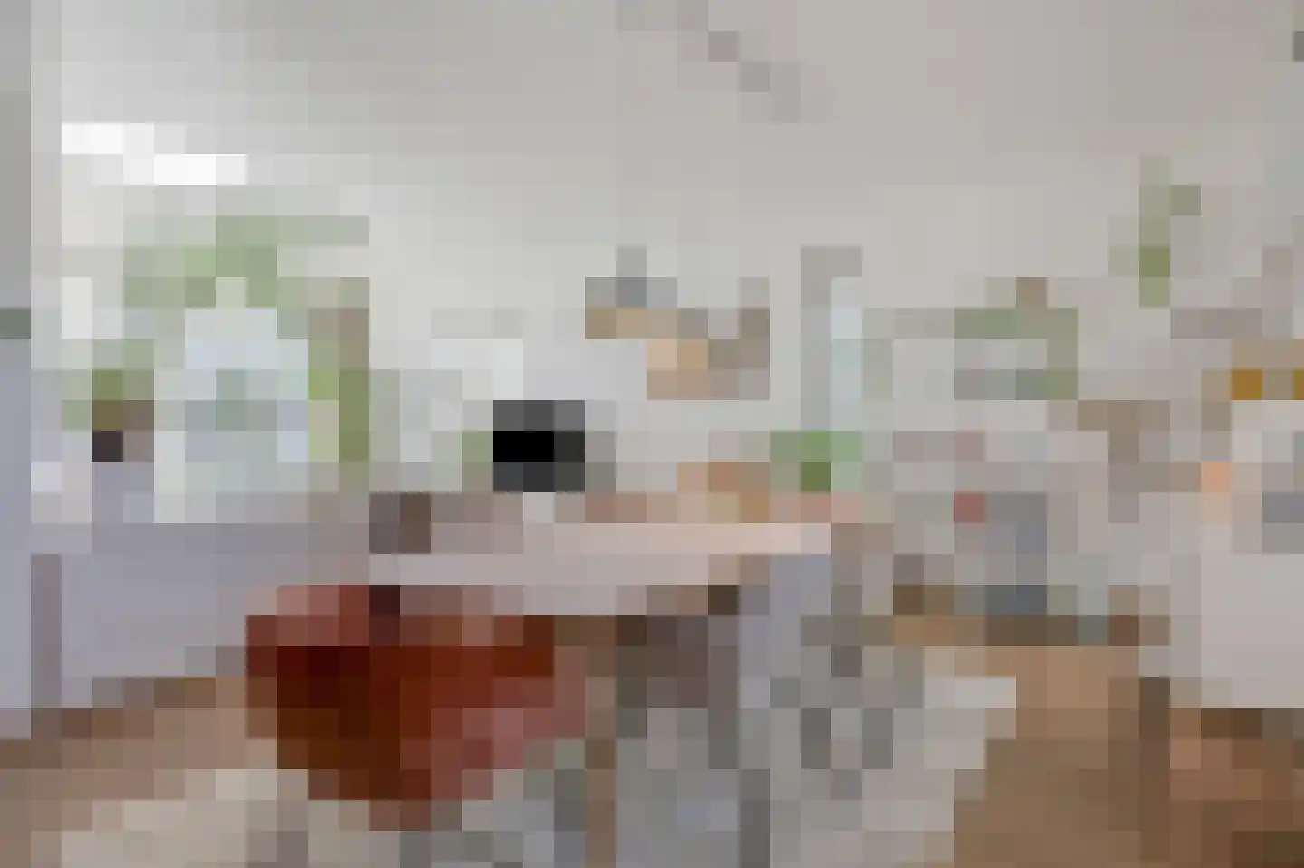 Purperregenstraat 13 Arnhem thumbnail 11