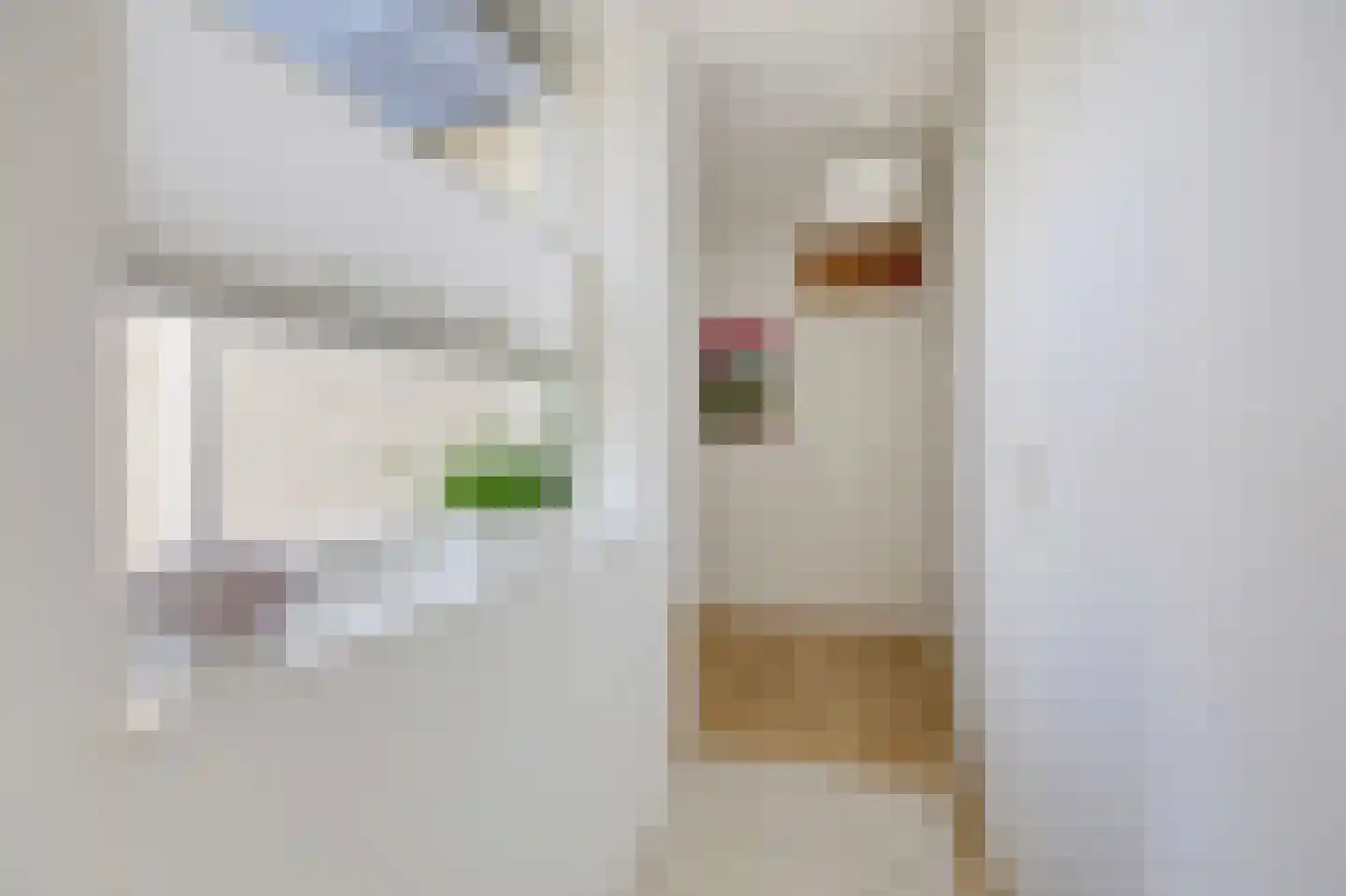 Purperregenstraat 13 Arnhem thumbnail 17