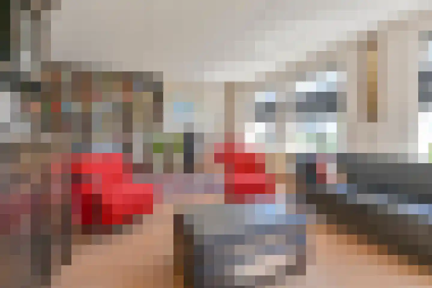 Purperreiger 10 Emmen thumbnail 14