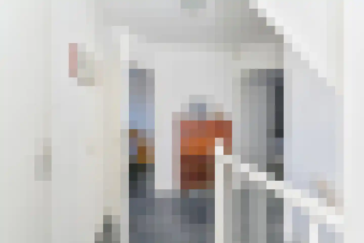 Purperreiger 10 Emmen thumbnail 30