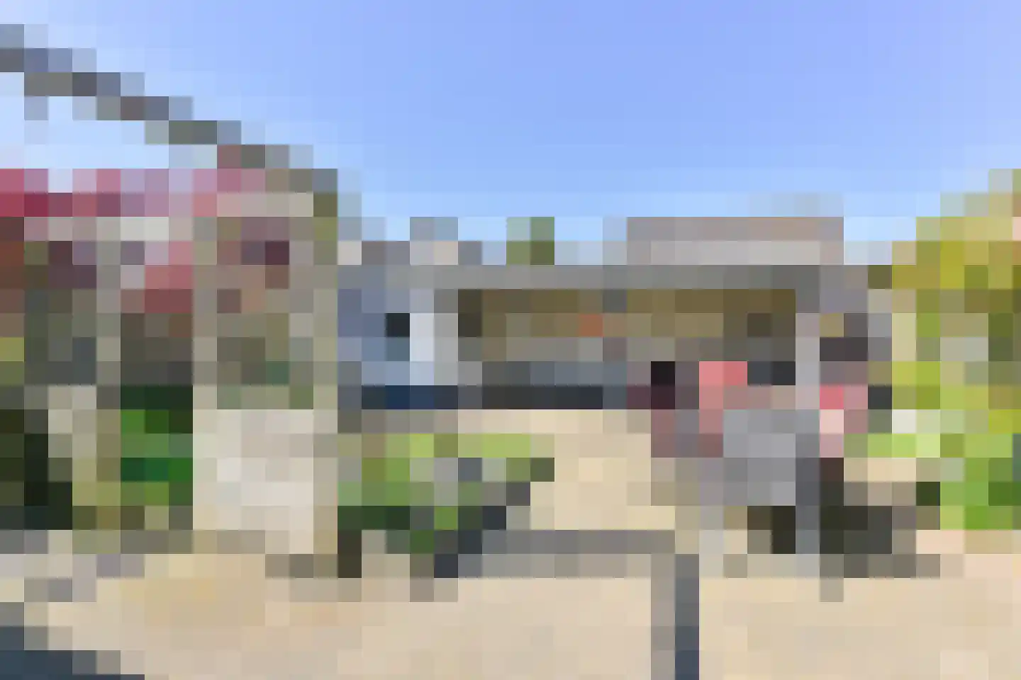 Purperreiger 10 Emmen thumbnail 56