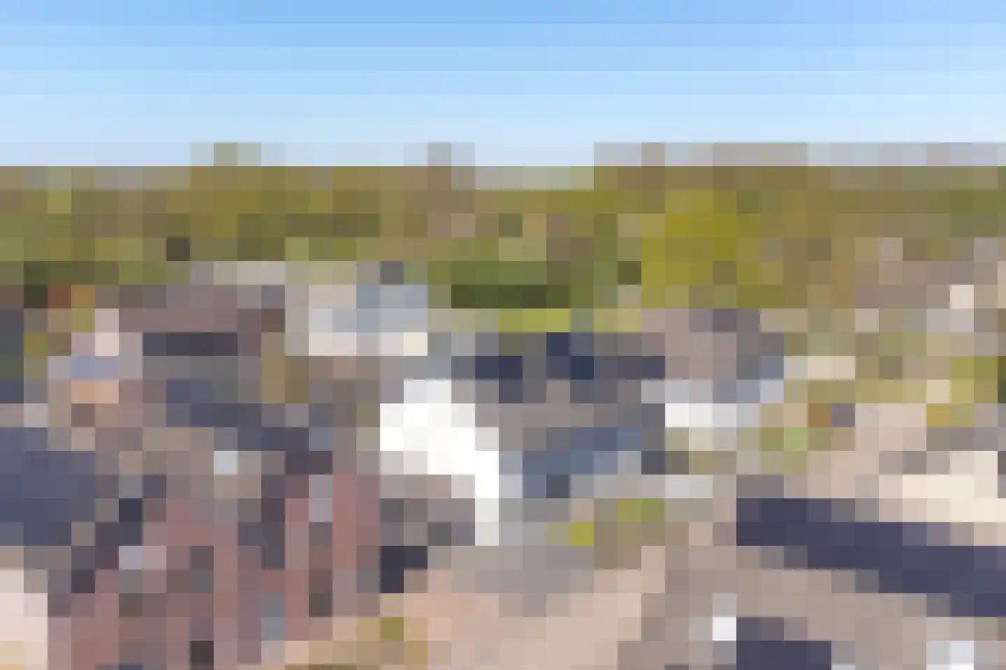 Purperreiger 10 Emmen thumbnail 64