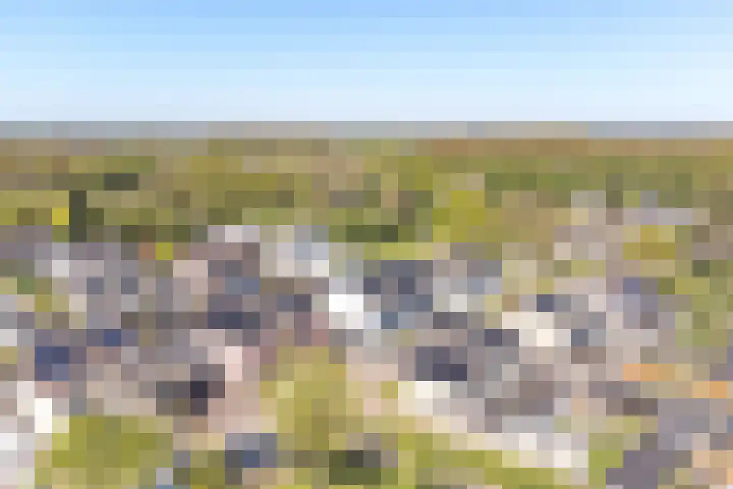 Purperreiger 10 Emmen thumbnail 65