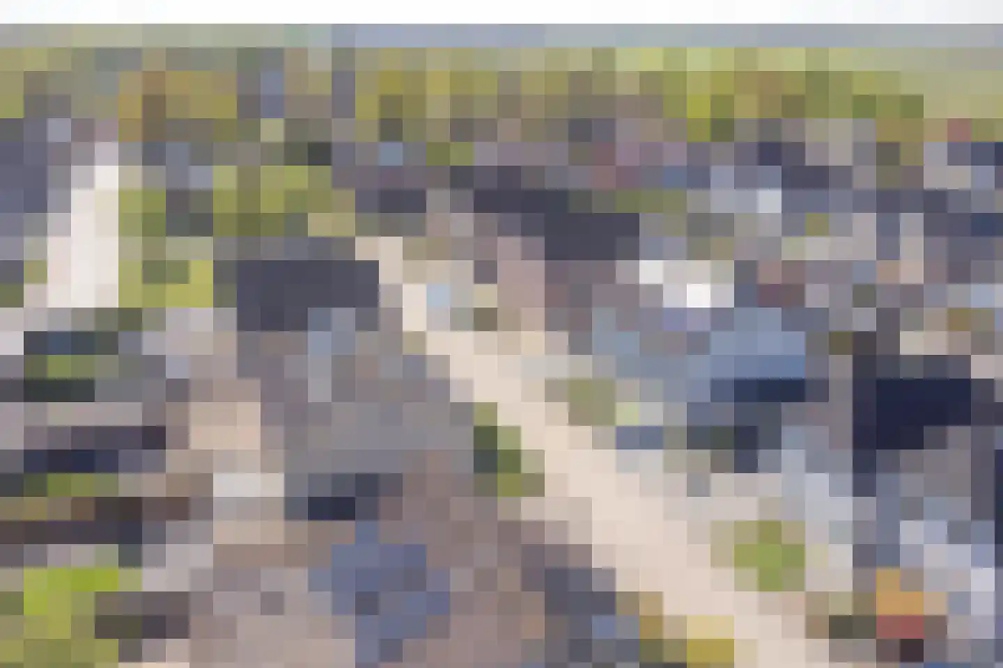 Purperreiger 10 Emmen thumbnail 67