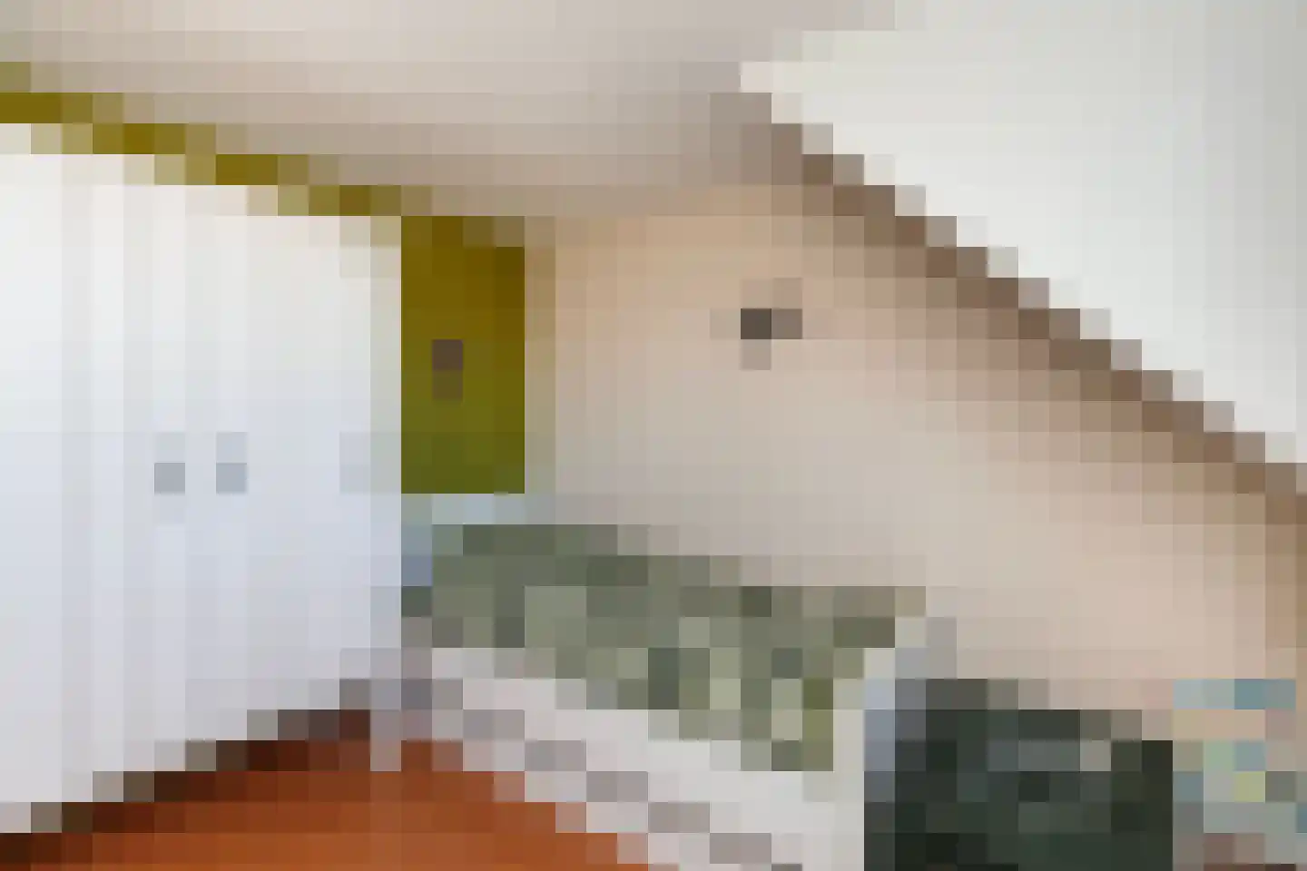 Purperreiger 17 Nieuw-Lekkerland thumbnail 31