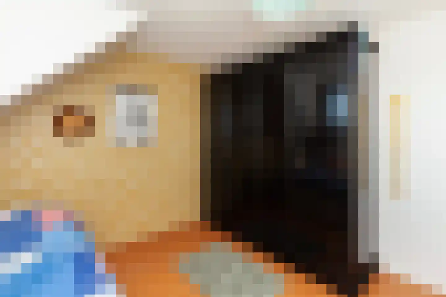Purperreiger 17 Nieuw-Lekkerland thumbnail 35