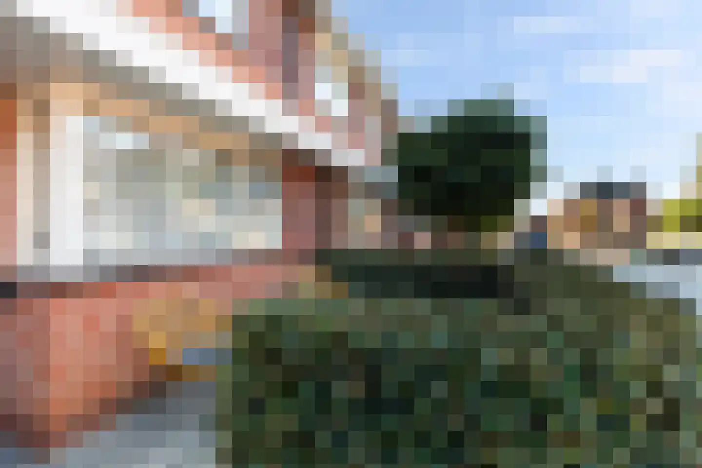Purperreiger 17 Nieuw-Lekkerland thumbnail 4