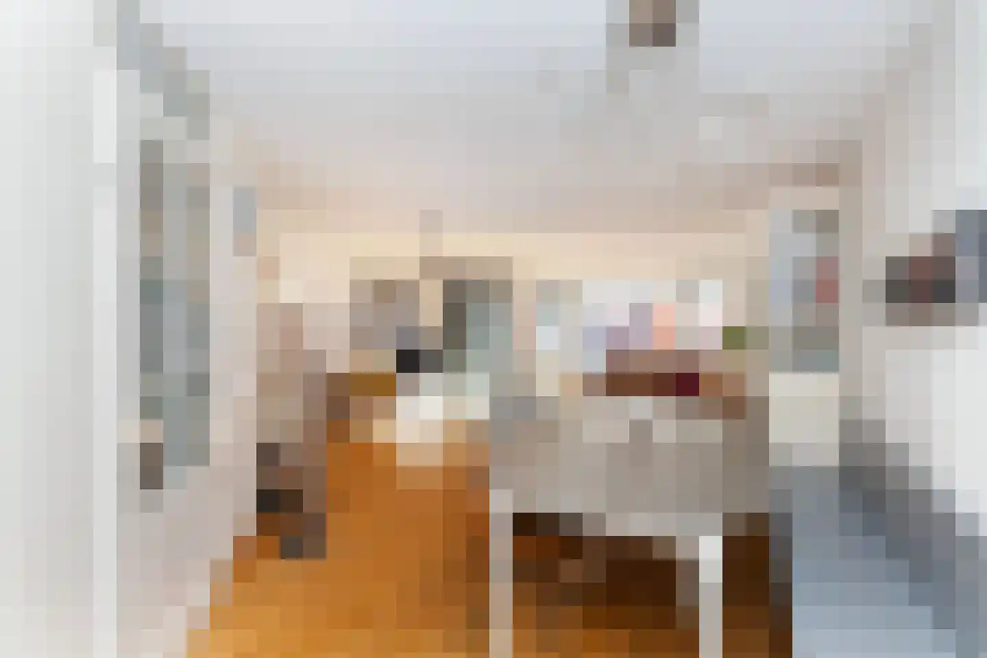 Purperreiger 17 Nieuw-Lekkerland thumbnail 6