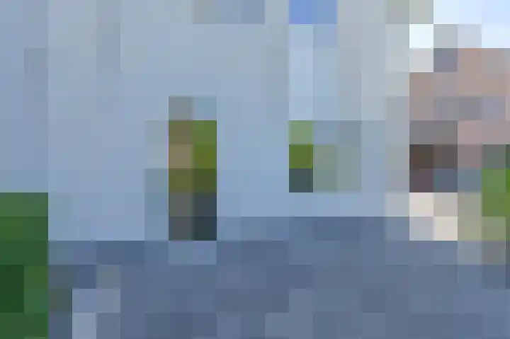 Purperreiger 21 Emmen thumbnail 10