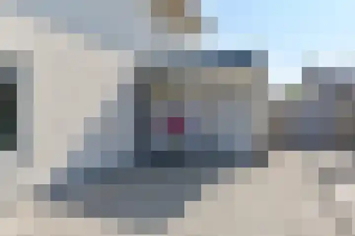Purperreiger 21 Emmen thumbnail 11