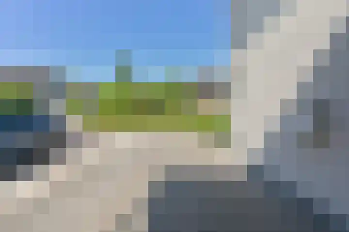 Purperreiger 21 Emmen thumbnail 13