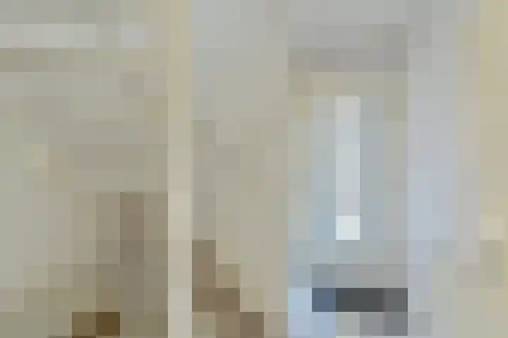Purperreiger 21 Emmen thumbnail 15