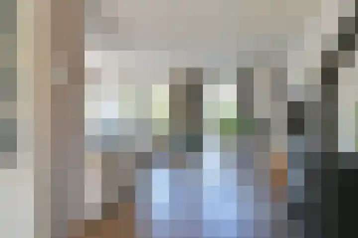 Purperreiger 21 Emmen thumbnail 17