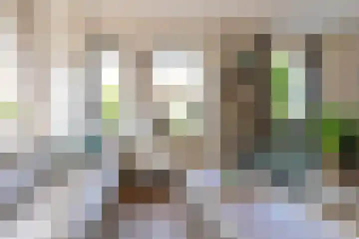 Purperreiger 21 Emmen thumbnail 24