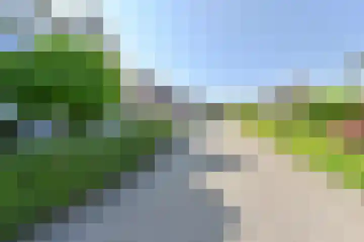 Purperreiger 21 Emmen thumbnail 5