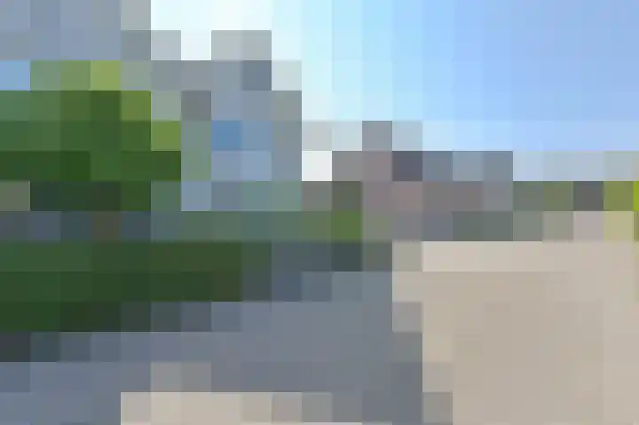 Purperreiger 21 Emmen thumbnail 6