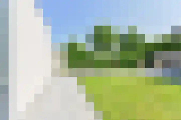 Purperreiger 21 Emmen thumbnail 74