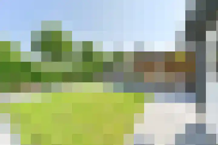 Purperreiger 21 Emmen thumbnail 75