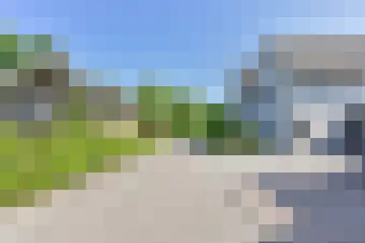 Purperreiger 21 Emmen thumbnail 8