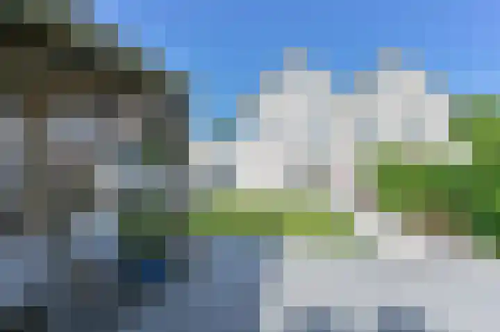 Purperreiger 21 Emmen thumbnail 81