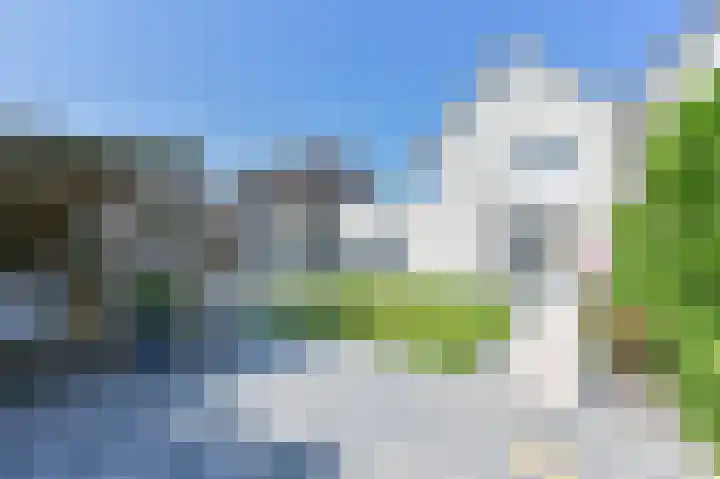 Purperreiger 21 Emmen thumbnail 82