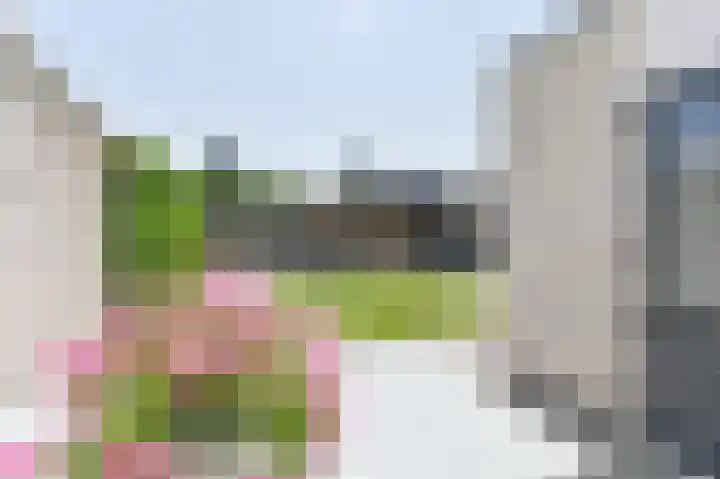 Purperreiger 21 Emmen thumbnail 87
