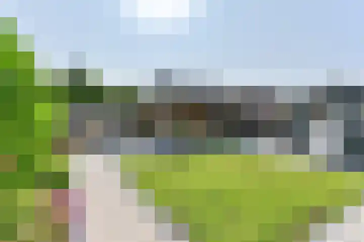 Purperreiger 21 Emmen thumbnail 88