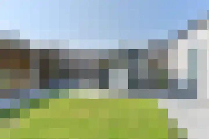 Purperreiger 21 Emmen thumbnail 89