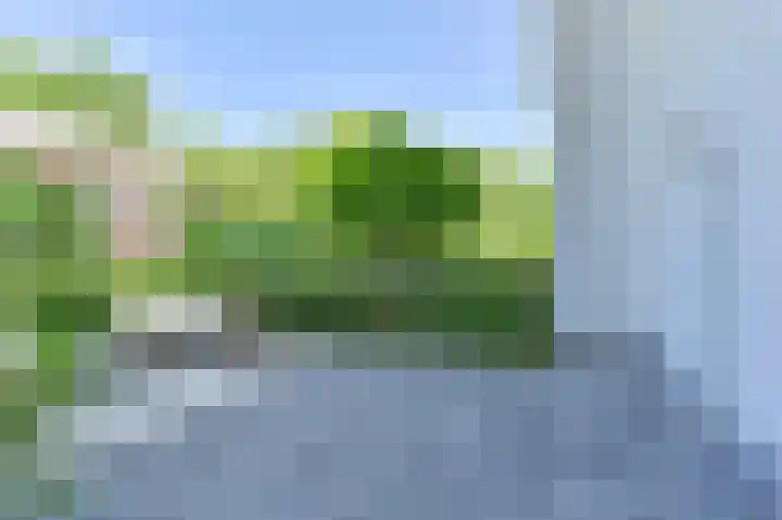 Purperreiger 21 Emmen thumbnail 9