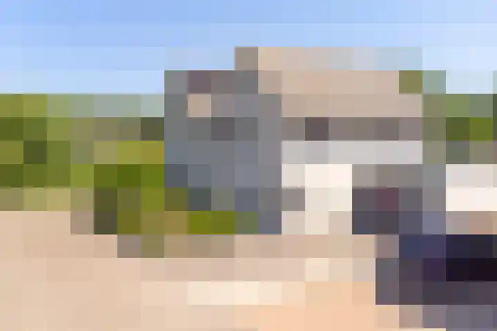 Purperreiger 21 Emmen thumbnail 90