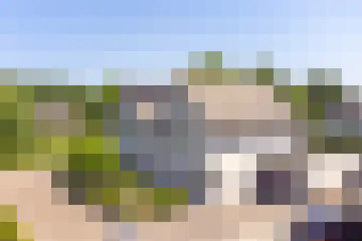 Purperreiger 21 Emmen thumbnail 91