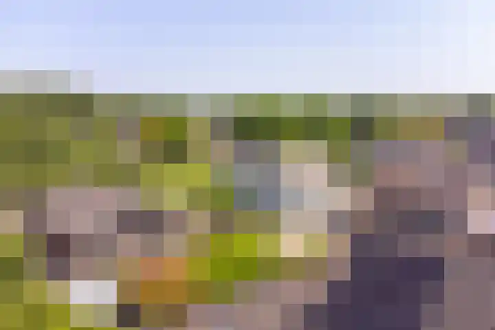 Purperreiger 21 Emmen thumbnail 92