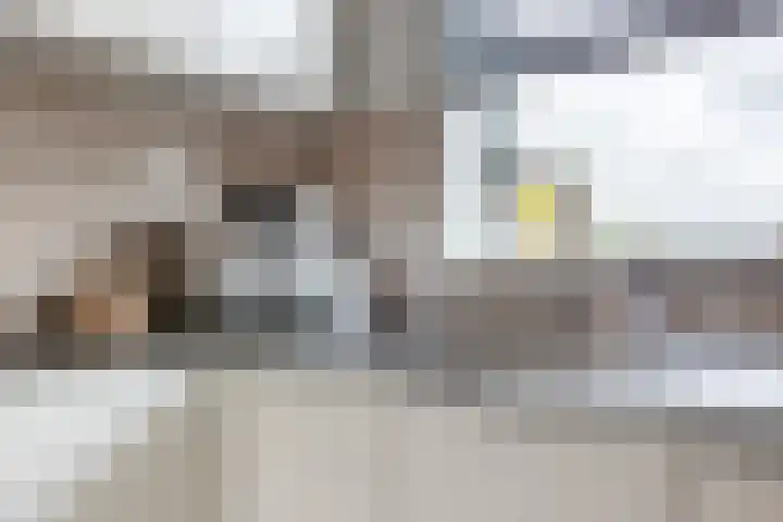 Purperreiger 21 Heerhugowaard thumbnail 16