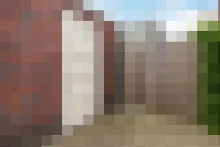 Purperreiger 21 Heerhugowaard thumbnail 35