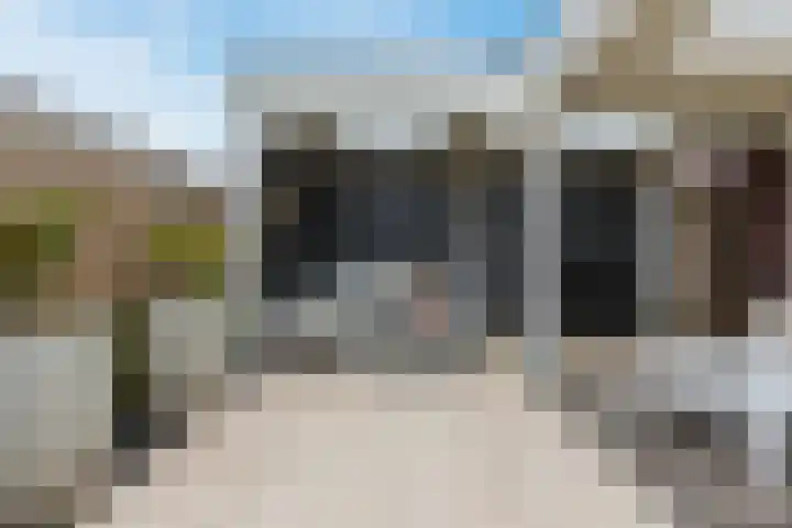 Purperreiger 21 Heerhugowaard thumbnail 38