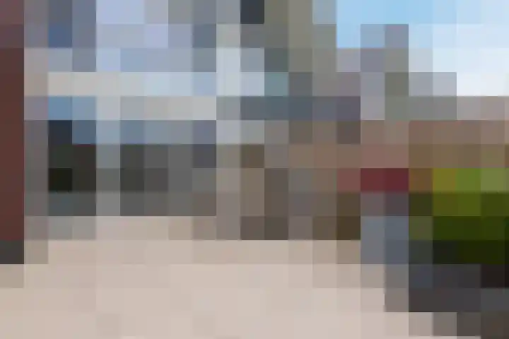 Purperreiger 21 Heerhugowaard thumbnail 39