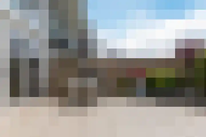Purperreiger 21 Heerhugowaard thumbnail 41