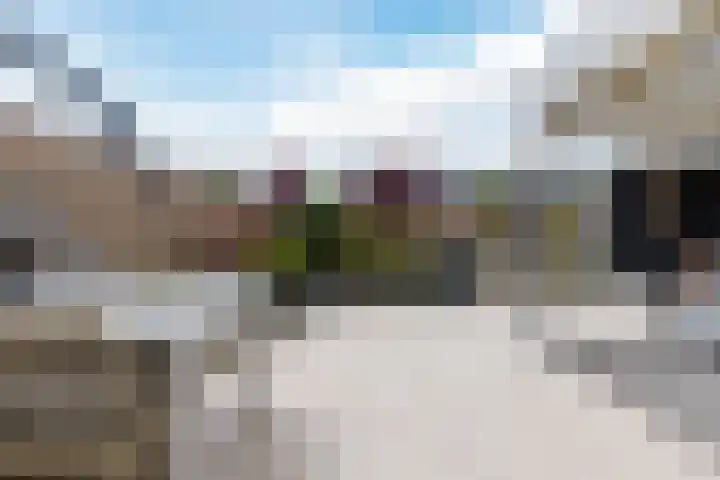 Purperreiger 21 Heerhugowaard thumbnail 42