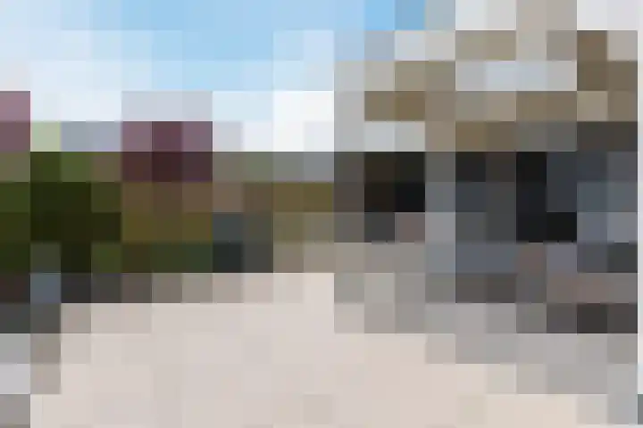 Purperreiger 21 Heerhugowaard thumbnail 43