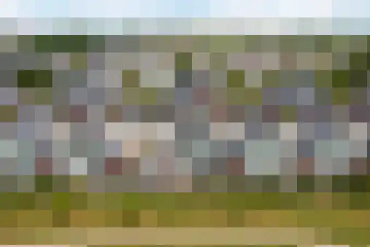 Purperreiger 21 Heerhugowaard thumbnail 45