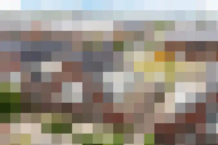 Purperreiger 21 Heerhugowaard thumbnail 47