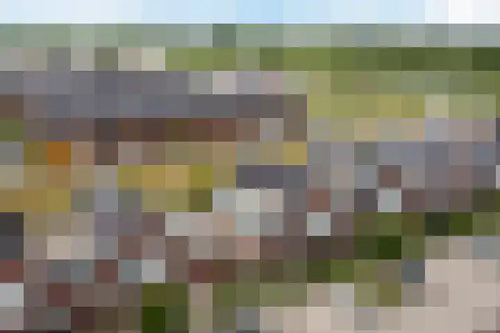 Purperreiger 21 Heerhugowaard thumbnail 48