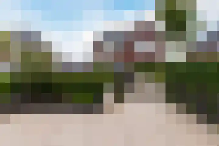 Purperreiger 21 Heerhugowaard thumbnail 50