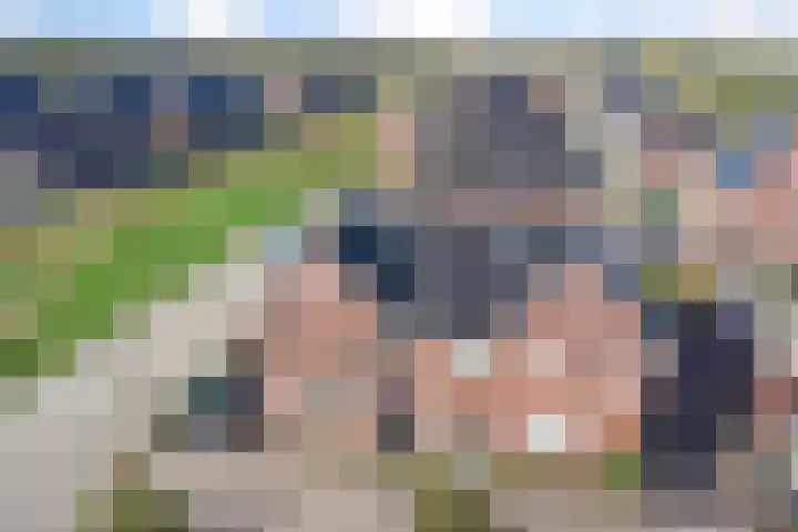 Purperreiger 22 Heerhugowaard thumbnail 27