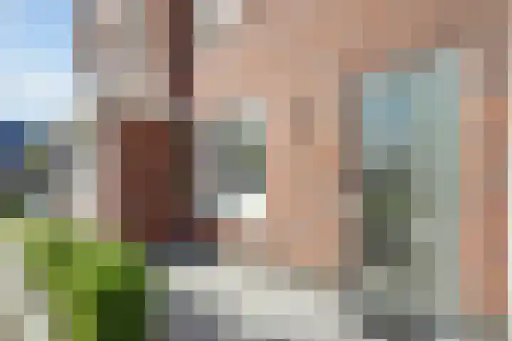 Purperreiger 22 Heerhugowaard thumbnail 28
