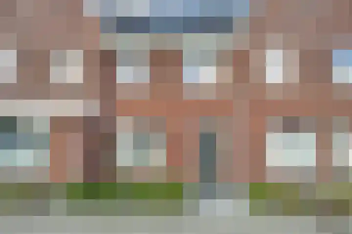 Purperreiger 22 Heerhugowaard thumbnail 34